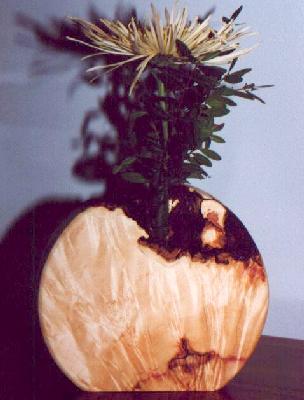 Manitoba Maple Burl Vase