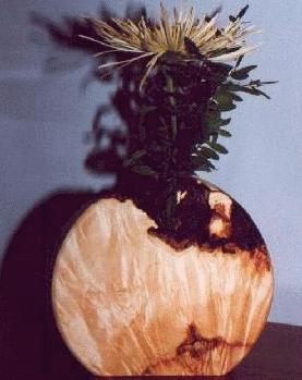Manitoba Maple Bud Vase