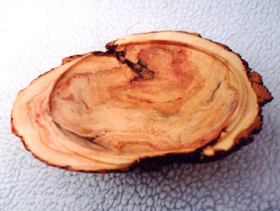Spruce Burl Bowl