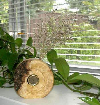 Maple Clock Budvase