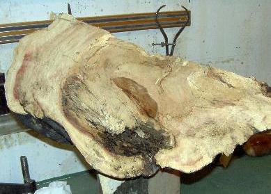 Rough Maple Blank