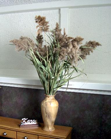Elm Vase & Manitoba Marsh Reeds