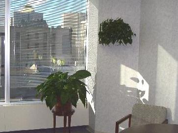 My Daytime Home