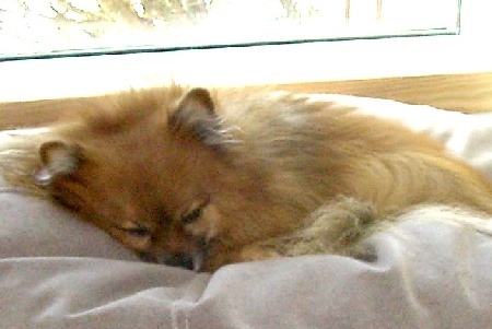 Ahhhhh - Sleeeeeep...