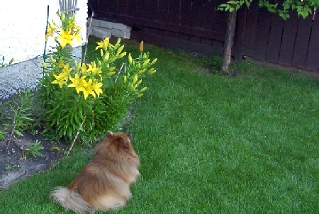 Lookin' for the squirrel